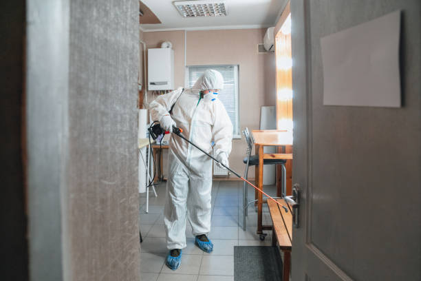 Best Dehumidification Services  in Williamstown, KY