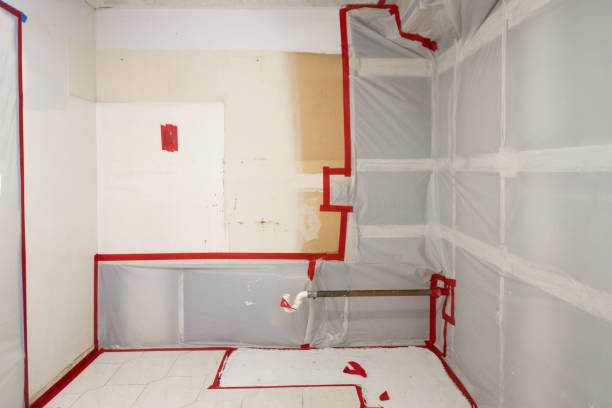 Best Environmental Consulting for Mold Prevention  in Williamstown, KY