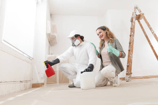 Best Post-Construction Mold Inspection  in Williamstown, KY